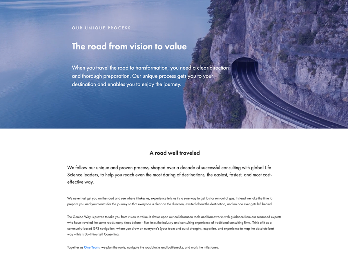 The Genioo Way: The road from vision to value webpage